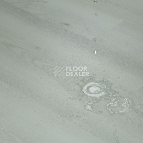 Tarkett Funky House JACK фото 10 | FLOORDEALER